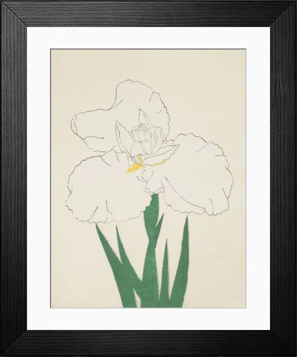 Framed Print : Fuji-No-Yuki, No. 13, 1890, (colour woodblock print) Framed Print : Fuji-No-Yuki, No. 13, 1890, (colour woodblock print)