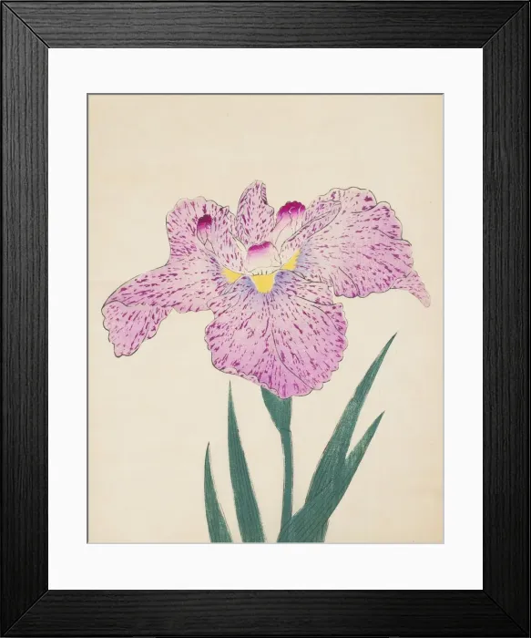 Framed Print : Tanka-No-Koe, No. 15, 1890, (colour woodblock print) Framed Print : Tanka-No-Koe, No. 15, 1890, (colour woodblock print)