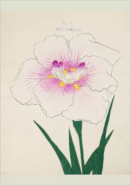 Misuji-No-Ito, No. 17, 1890, (colour woodblock print)