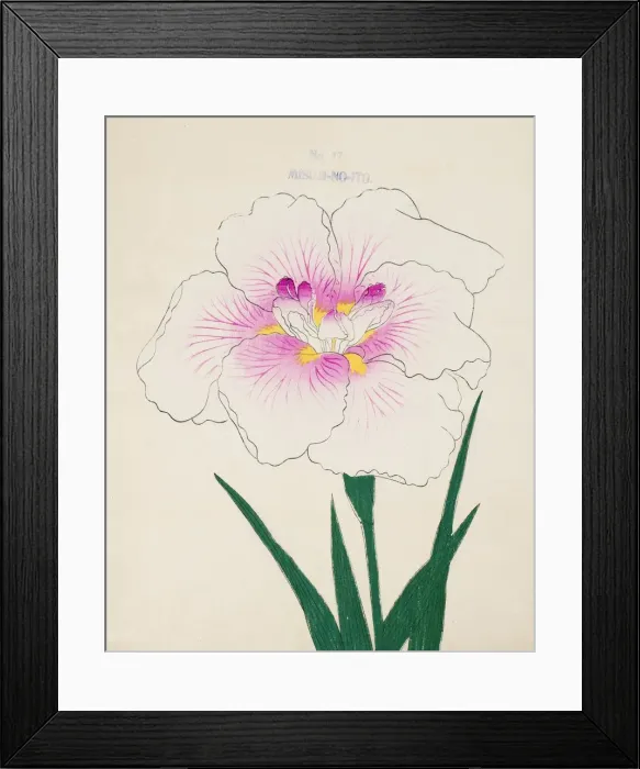 Framed Print : Misuji-No-Ito, No. 17, 1890, (colour woodblock print) Framed Print : Misuji-No-Ito, No. 17, 1890, (colour woodblock print)