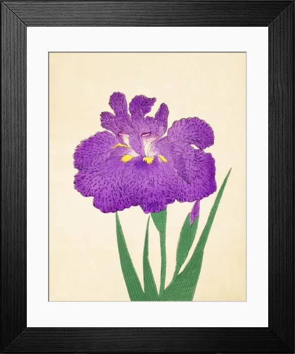 Framed Print : Kyo-Nishiki, No. 11, 1890, (colour woodblock print) Framed Print : Kyo-Nishiki, No. 11, 1890, (colour woodblock print)
