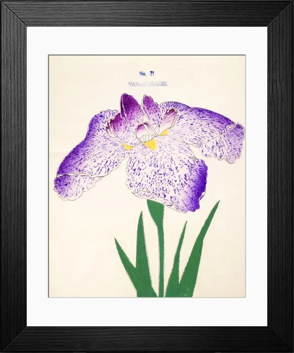 Framed Print : Nanakomachi, No 21, 1890, (colour woodblock print) Framed Print : Nanakomachi, No 21, 1890, (colour woodblock print)