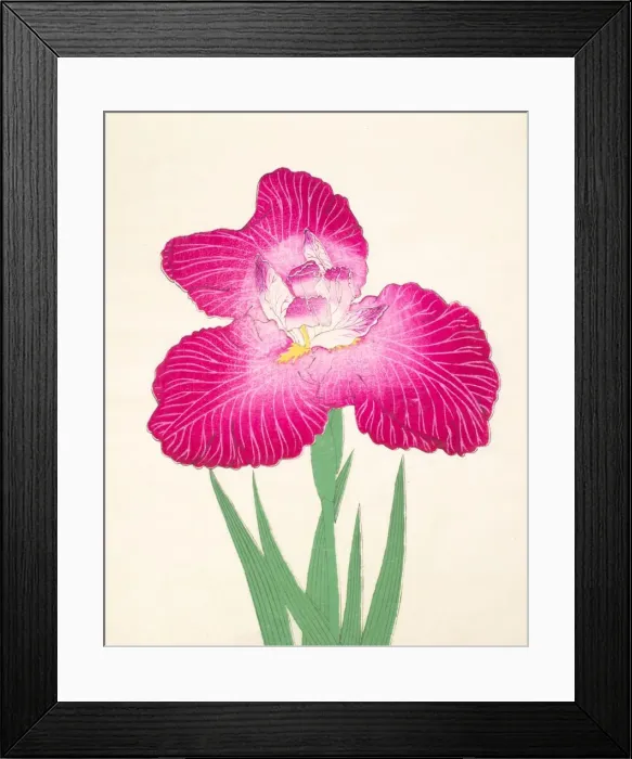 Framed Print : Kyo-Kanoko, No 24, 1890, (colour woodblock print) Framed Print : Kyo-Kanoko, No 24, 1890, (colour woodblock print)