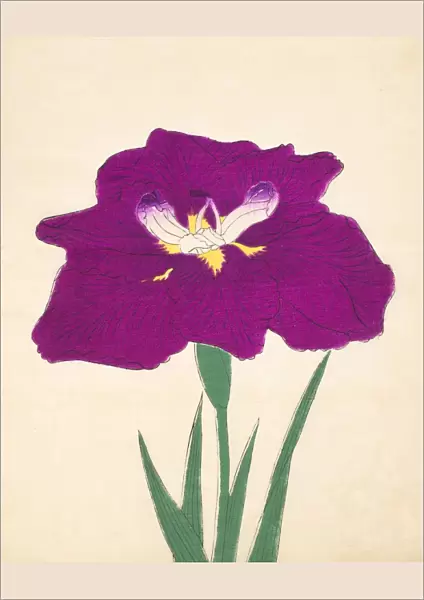 Hizume-No-Hyoshi, No. 29, 1890, (colour woodblock print)