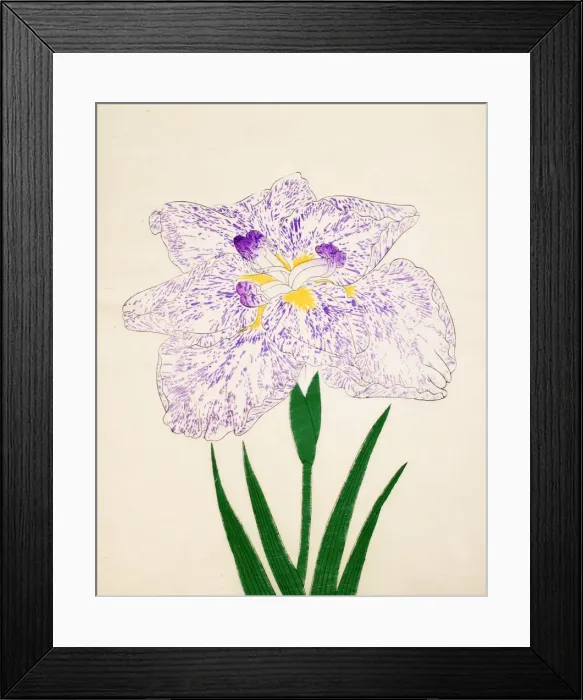 Framed Print : Yamato-Nishiki, No. 31, 1890, (colour woodblock print) Framed Print : Yamato-Nishiki, No. 31, 1890, (colour woodblock print)