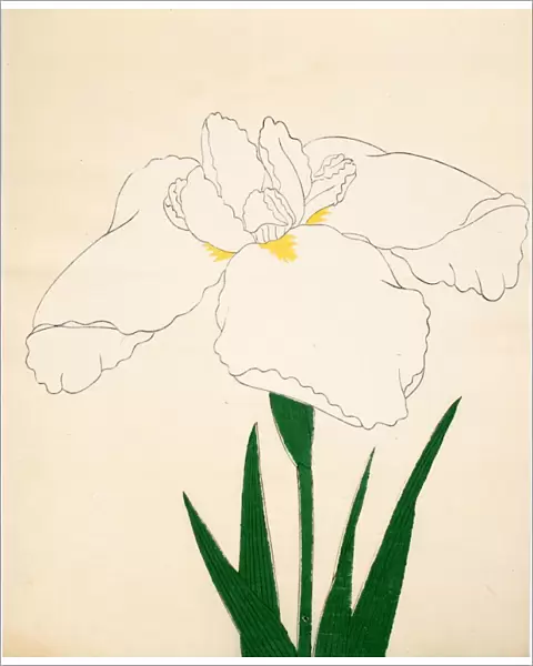 Tsuru-No-Kegoromo, No. 33, 1890, (colour woodblock print)