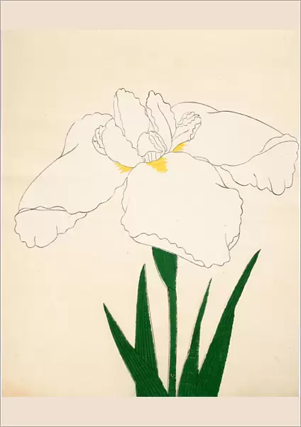 Tsuru-No-Kegoromo, No. 33, 1890, (colour woodblock print)