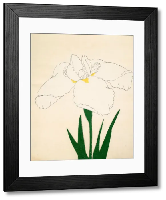 Framed Print : Tsuru-No-Kegoromo, No. 33, 1890, (colour woodblock print) Framed Print : Tsuru-No-Kegoromo, No. 33, 1890, (colour woodblock print)