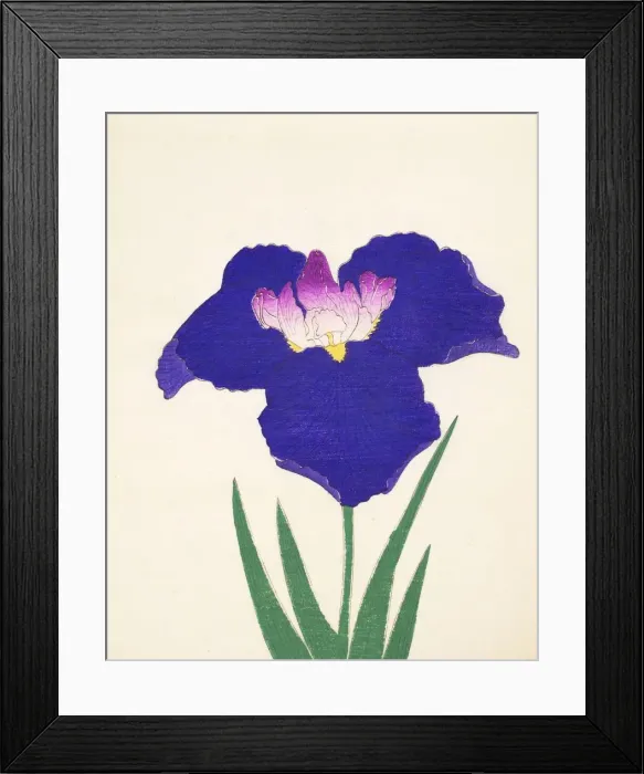 Framed Print : Yedo-Jiman, No. 36, 1890, (colour woodblock print) Framed Print : Yedo-Jiman, No. 36, 1890, (colour woodblock print)