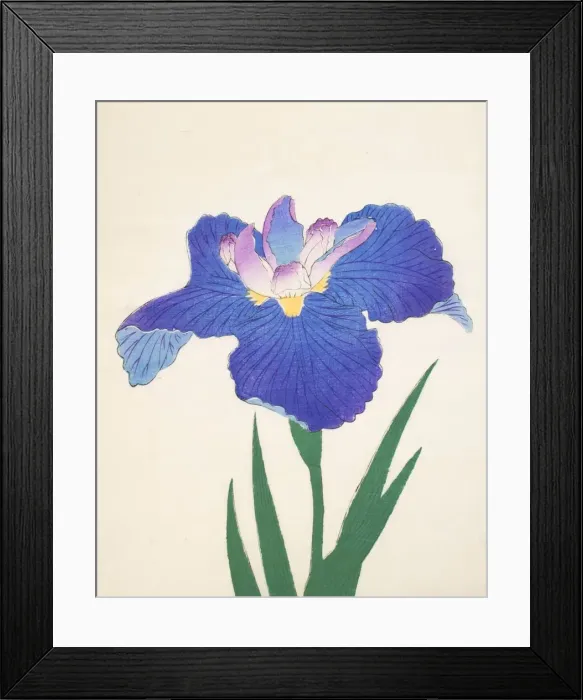 Framed Print : Aoi-Gata, No. 30, 1890, (colour woodblock print) Framed Print : Aoi-Gata, No. 30, 1890, (colour woodblock print)