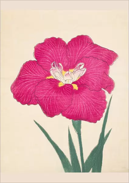 Kagari-Bi, No. 38, 1890, (colour woodblock print)