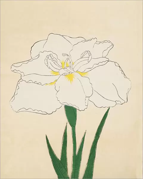 Haku-O-Den, No. 40, 1890, (colour woodblock print)