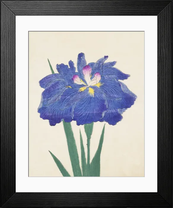 Framed Print : Karako-Asobi, No. 42, 1890, (colour woodblock print) Framed Print : Karako-Asobi, No. 42, 1890, (colour woodblock print)