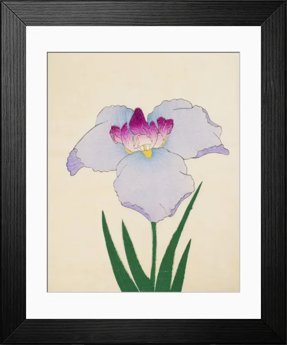 Framed Print : Hoshi-Zukiyo, No. 45, 1890, (colour woodblock print) Framed Print : Hoshi-Zukiyo, No. 45, 1890, (colour woodblock print)