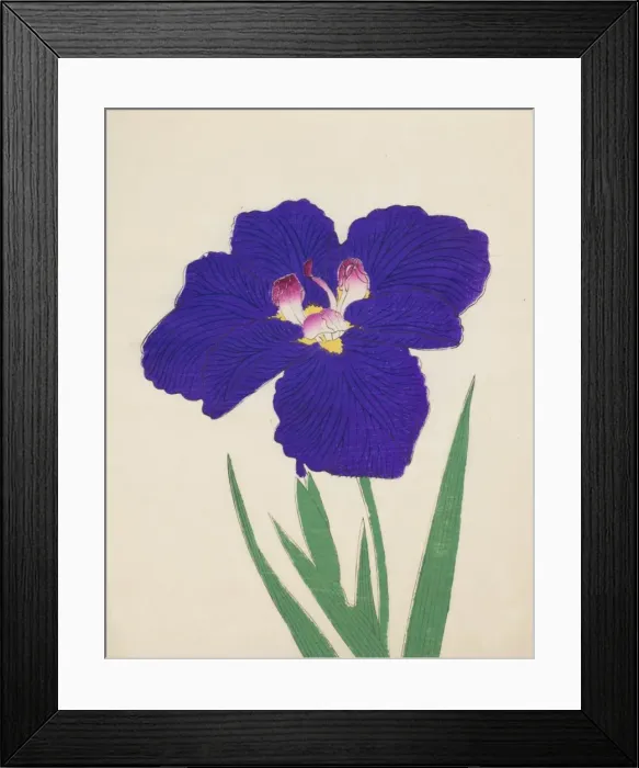 Framed Print : Shira-No-Tamoto, No. 49, 1890, (colour woodblock print) Framed Print : Shira-No-Tamoto, No. 49, 1890, (colour woodblock print)