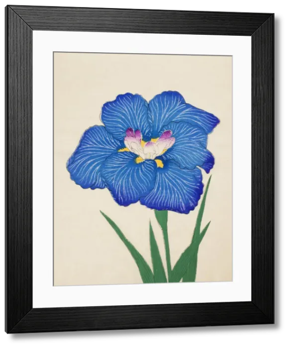 Framed Print : Ushio-No-Kemuri, No. 47, 1890, (colour woodblock print) Framed Print : Ushio-No-Kemuri, No. 47, 1890, (colour woodblock print)