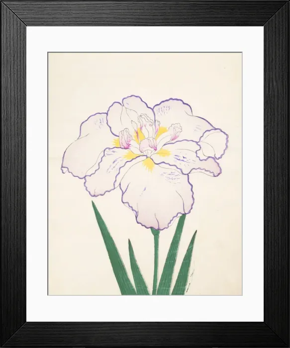 Framed Print : Tanporo, No. 51, 1890, (colour woodblock print) Framed Print : Tanporo, No. 51, 1890, (colour woodblock print)