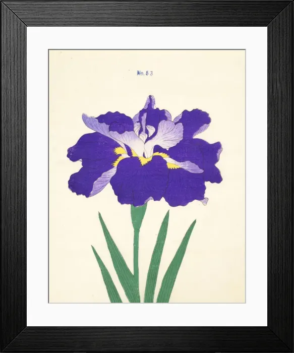 Framed Print : Saiwoga-Uma, No. 53, 1890, (colour woodblock print) Framed Print : Saiwoga-Uma, No. 53, 1890, (colour woodblock print)