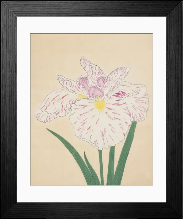 Framed Print : Uji-No-Kawagiri, No. 55, 1890, (colour woodblock print) Framed Print : Uji-No-Kawagiri, No. 55, 1890, (colour woodblock print)