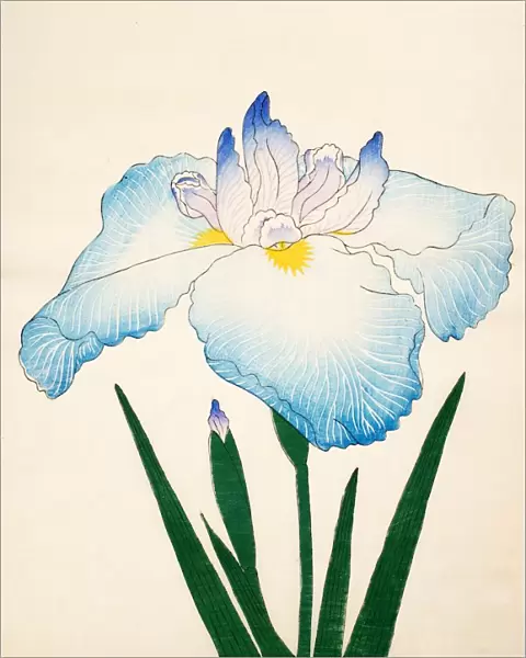 Sazanami, No. 68, 1890, (colour woodblock print)