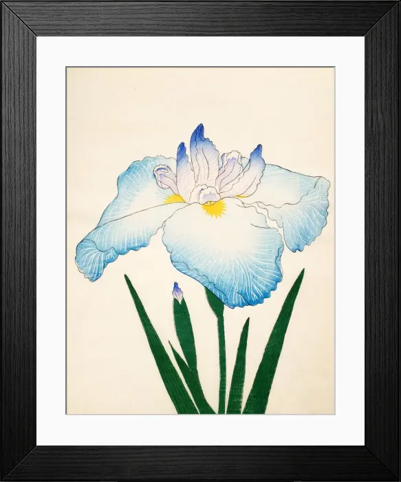 Framed Print : Sazanami, No. 68, 1890, (colour woodblock print) Framed Print : Sazanami, No. 68, 1890, (colour woodblock print)