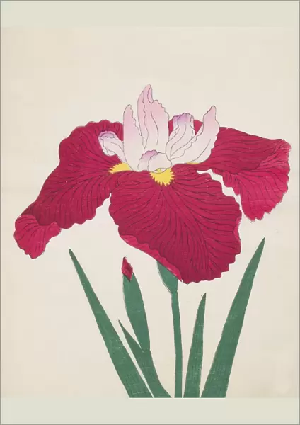 Yamamatayama, No. 83, 1890, (colour woodblock print)