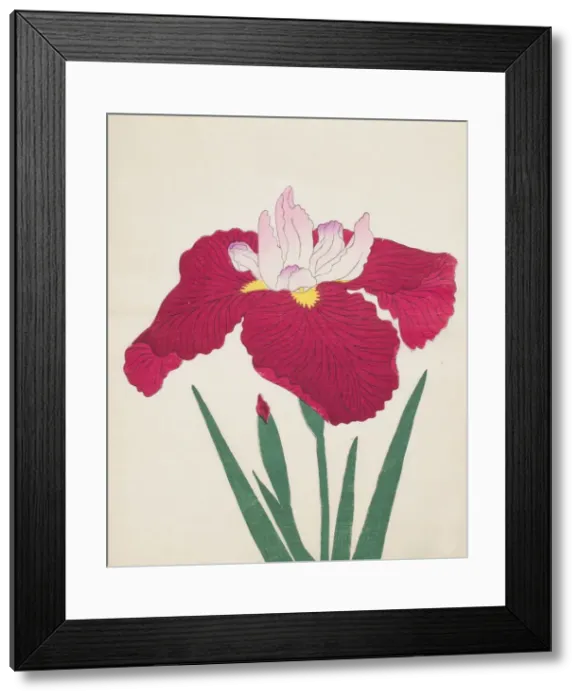 Framed Print : Yamamatayama, No. 83, 1890, (colour woodblock print) Framed Print : Yamamatayama, No. 83, 1890, (colour woodblock print)