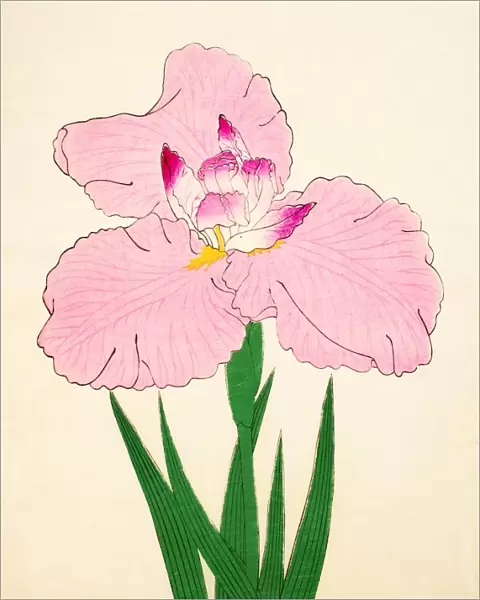 Gaisen, No. 90, 1890, (colour woodblock print)
