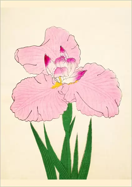 Gaisen, No. 90, 1890, (colour woodblock print)