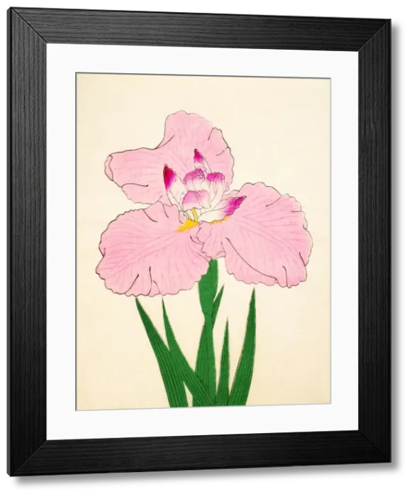 Framed Print : Gaisen, No. 90, 1890, (colour woodblock print) Framed Print : Gaisen, No. 90, 1890, (colour woodblock print)