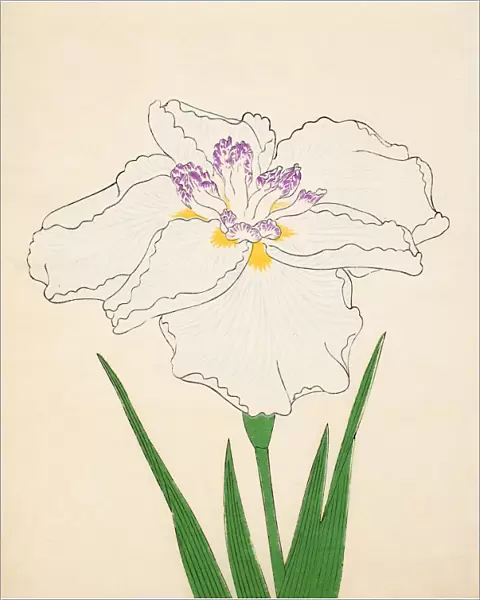 Cho-Hiyen, No. 91, 1890, (colour woodblock print)