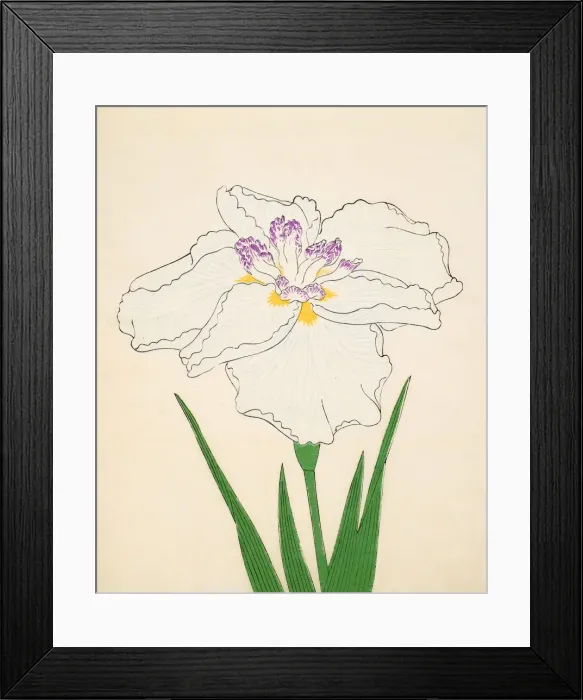 Framed Print : Cho-Hiyen, No. 91, 1890, (colour woodblock print) Framed Print : Cho-Hiyen, No. 91, 1890, (colour woodblock print)