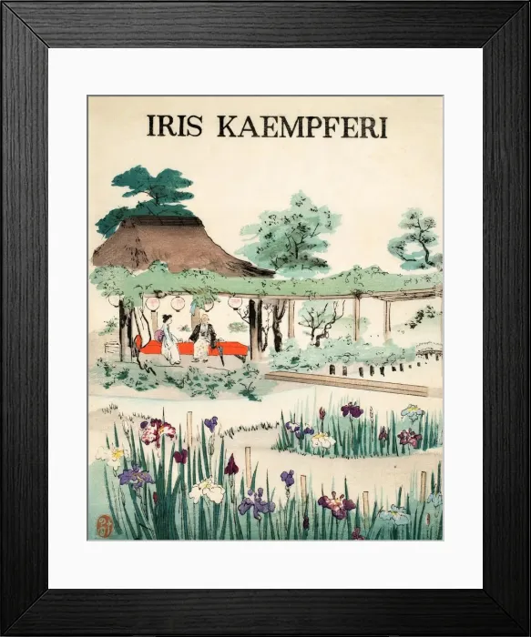 Framed Print : Iris Kaempferi - Front Cover, 1890, (colour woodblock print) Framed Print : Iris Kaempferi - Front Cover, 1890, (colour woodblock print)