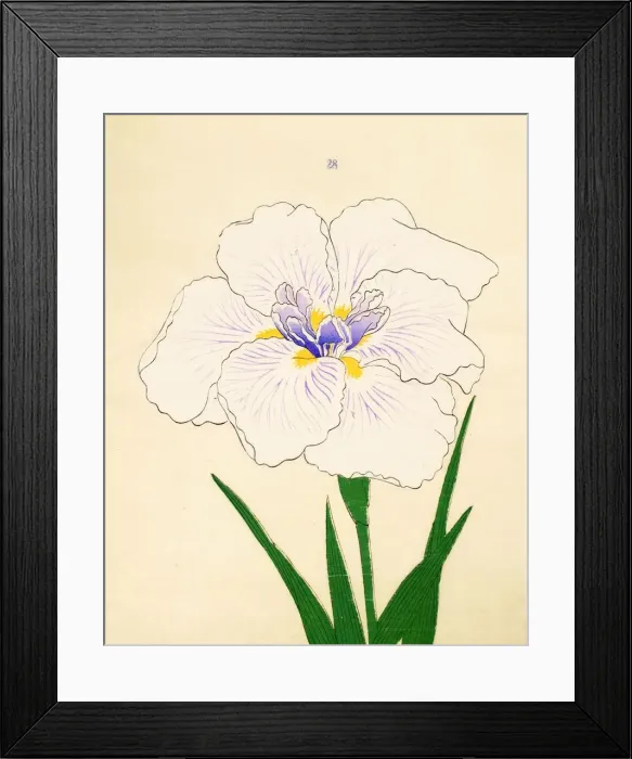 Framed Print : Manu-Zuru, No. 28, 1890, (colour woodblock print) Framed Print : Manu-Zuru, No. 28, 1890, (colour woodblock print)
