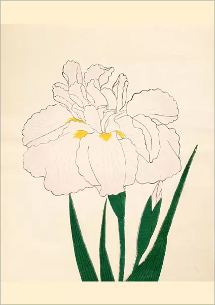 En-Yo-No-Ten, No. 73, 1890, (colour woodblock print)