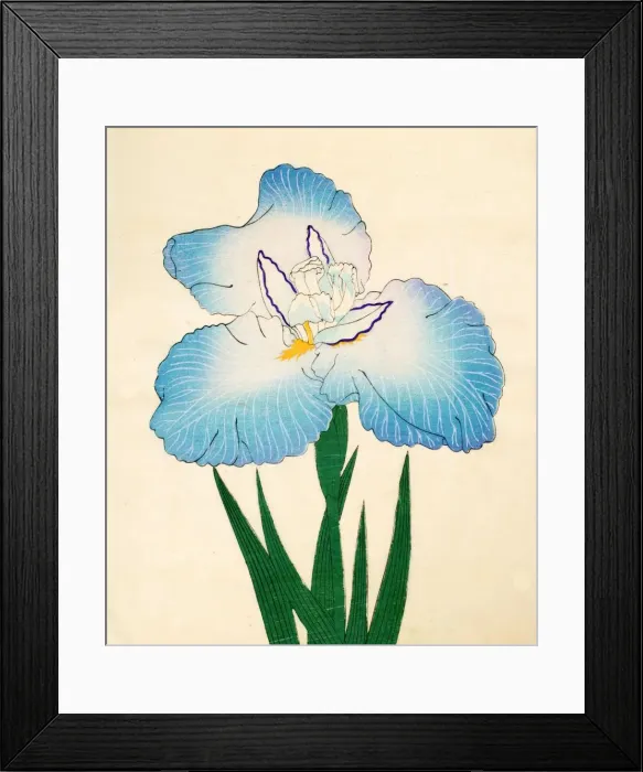 Framed Print : Irojiman, No. 80, 1890, (colour woodblock print) Framed Print : Irojiman, No. 80, 1890, (colour woodblock print)