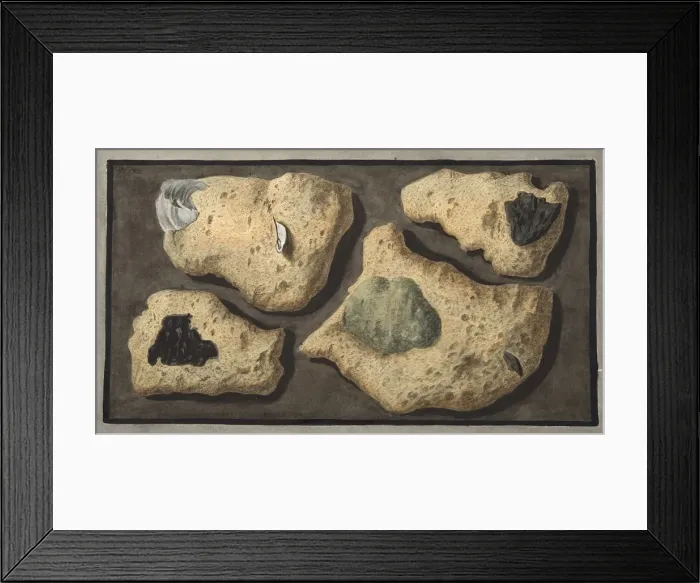 Framed Print : Specimens of Tufas from the quarrys near the Grotta of Pausilipo, 1776 Framed Print : Specimens of Tufas from the quarrys near the Grotta of Pausilipo, 1776