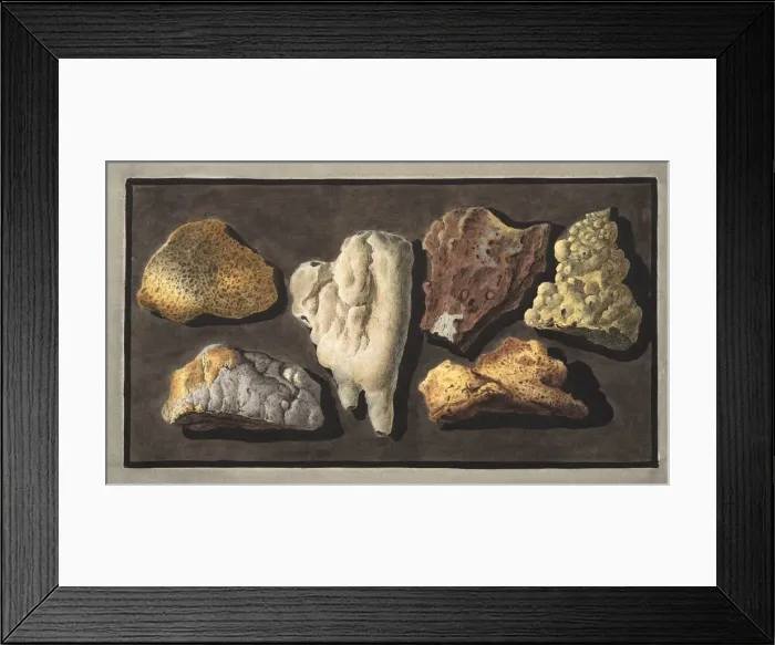 Framed Print : Specimens of volcanic matter taken from the inside of the crater of Vesuvius, 1776 Framed Print : Specimens of volcanic matter taken from the inside of the crater of Vesuvius, 1776