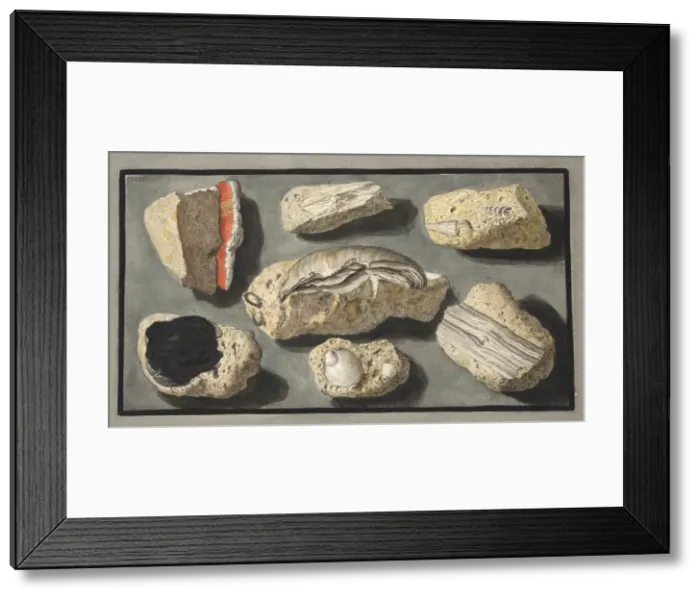 Framed Print : Specimens of Tufa found in and around Herculaneum, 1776 Framed Print : Specimens of Tufa found in and around Herculaneum, 1776