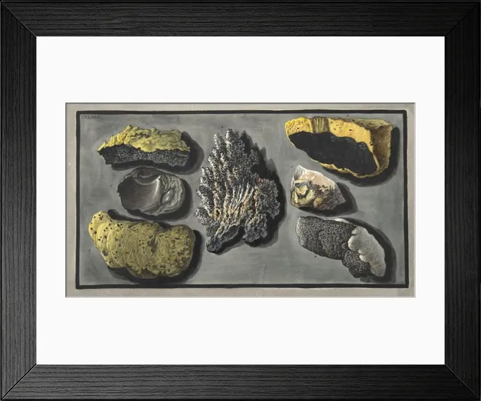 Framed Print : Specimens of volcanic matter found in the crater of Vesuvius, 1776 Framed Print : Specimens of volcanic matter found in the crater of Vesuvius, 1776