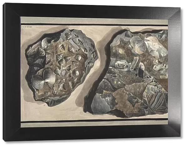 Piece of marble composed of fragments of various sorts of marble found in the Fossa Grande, 1776
