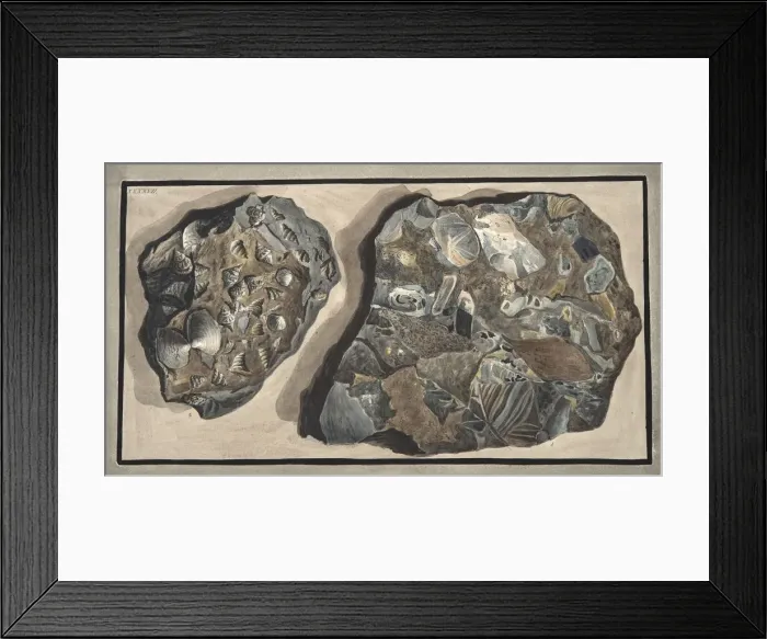 Framed Print : Piece of marble composed of fragments of various sorts of marble found in the Fossa Grande, 1776 Framed Print : Piece of marble composed of fragments of various sorts of marble found in the Fossa Grande, 1776