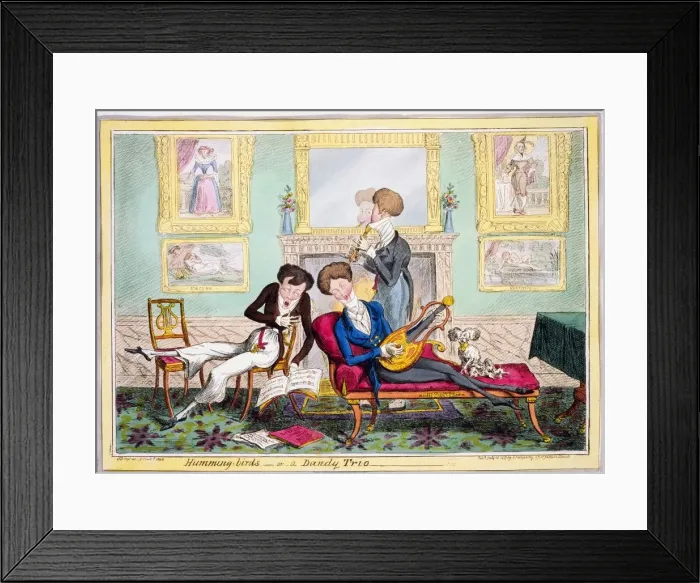 Framed Print : Humming-birds--or--a Dandy Trio, 1819 Framed Print : Humming-birds--or--a Dandy Trio, 1819