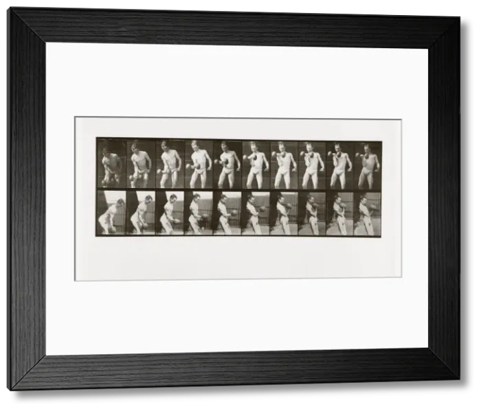 Framed Print : Man lifting a dumbbell, Plate 324 from Animal Locomotion, 1887 (photograph) Framed Print : Man lifting a dumbbell, Plate 324 from Animal Locomotion, 1887 (photograph)