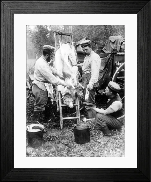 Framed Print : Butchering a sheep on the Front Line, c. 1914-18 Framed Print : Butchering a sheep on the Front Line, c. 1914-18