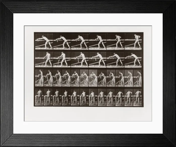Framed Print : Man planing wood, Plate 379 from Animal Locomotion, 1887 (photograph) Framed Print : Man planing wood, Plate 379 from Animal Locomotion, 1887 (photograph)