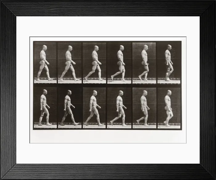 Framed Print : Man walking, Plate 6 from Animal Locomotion, 1887 (photograph) Framed Print : Man walking, Plate 6 from Animal Locomotion, 1887 (photograph)