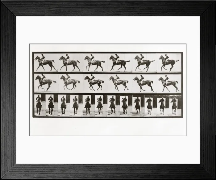 Framed Print : Horse and Rider, Plate 621 from Animal Locomotion, 1887 (photograph) Framed Print : Horse and Rider, Plate 621 from Animal Locomotion, 1887 (photograph)