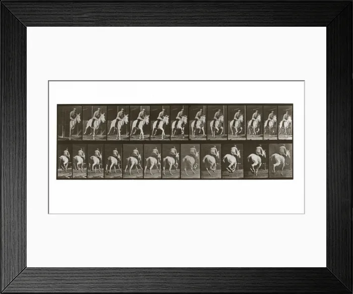 Framed Print : Galloping Horse with Rider, Plate 635 from Animal Locomotion, 1887 (photograph) Framed Print : Galloping Horse with Rider, Plate 635 from Animal Locomotion, 1887 (photograph)