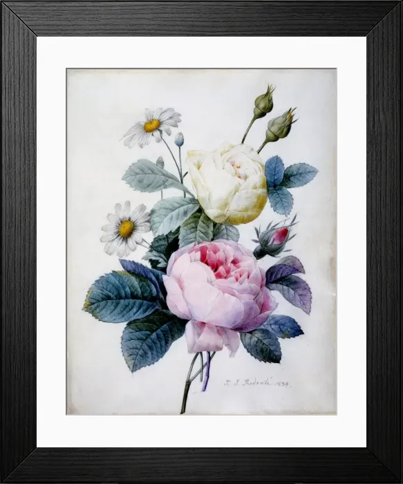 Framed Print : Bouquet of Roses with Daisies, 1834 Framed Print : Bouquet of Roses with Daisies, 1834